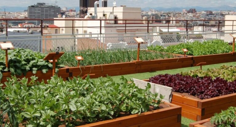 Cómo Crear un Huerto Urbano Sostenible en tu Terraza o Balcón