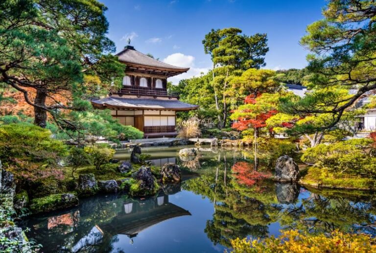 Los mejores diseños de jardines japoneses para crear un ambiente sereno y armonioso, con elementos como piedras, arena y bambú.