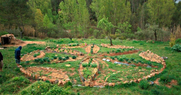 La permacultura en el paisajismo sostenible: Conceptos y aplicaciones