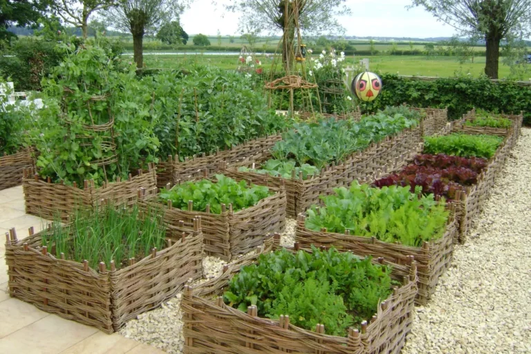 Plantas medicinales y aromáticas: cómo incorporarlas en el diseño de tu jardín y sus beneficios para la salud